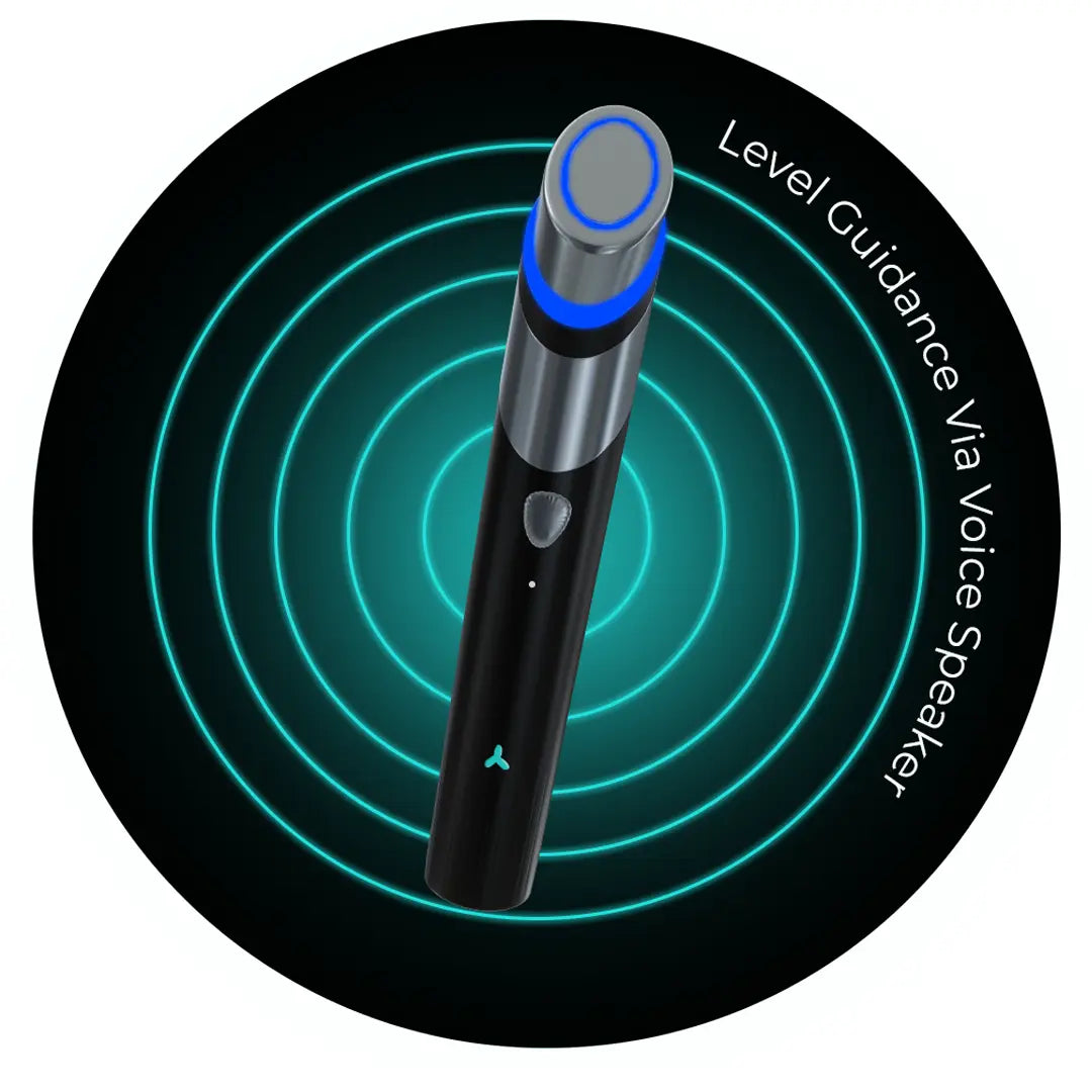 Voice Speaker